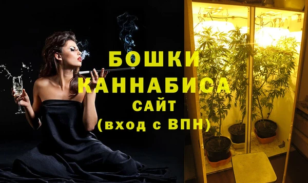 шишки Бугульма