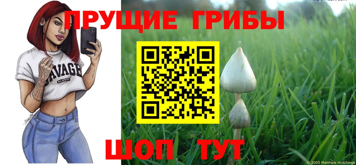 Верхняя Пышма  Галлюциногенные грибы мухоморы  Вход с VPN 