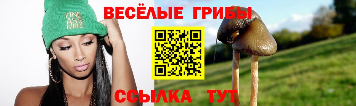 Галлюциногенные грибы мицелий Верхняя Пышма